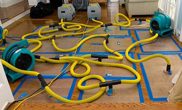 Professional Crawl Space Water Removal technician working in Bethune, SC